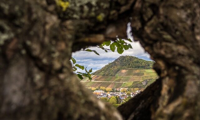 Jak zrobić koronę na wesele? Jak zrobić koronę na wesele?