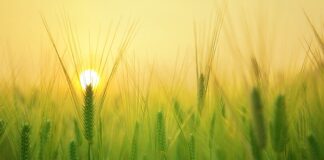 Jak wyglądać młodo w wieku 60 lat?