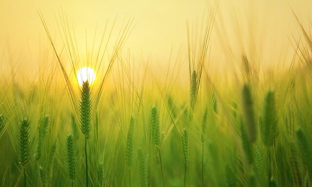 Jak wyglądać młodo w wieku 60 lat? Jak wyglądać młodo w wieku 60 lat?