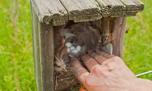 Jak zrobić skrzynkę na biżuterię? Jak zrobić skrzynkę na biżuterię?