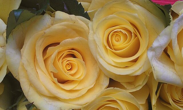 Jak napisać podziękowania dla gości? Jak napisać podziękowania dla gości?