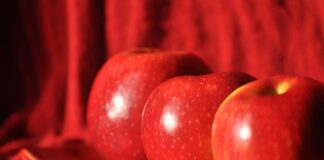 Ile trzeba zapłacić za talerzyk na wesele?