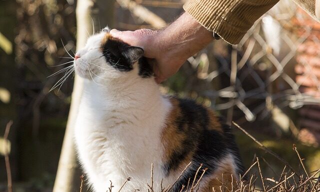 Jak podziękować komuś za opiekę?