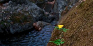 Czego unikać w swetrach?