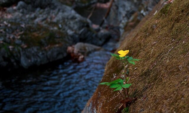 Czego unikać w swetrach? Czego unikać w swetrach?