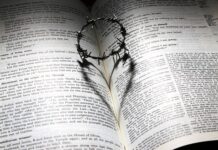 Co daje poświęcenie? Co daje poświęcenie?