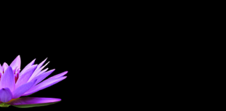 Jak nosić czarne dresy?