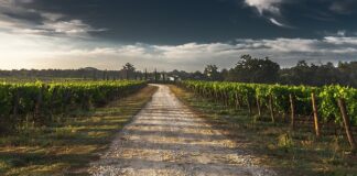 Jak zmierzyć się w pasie u mężczyzn?