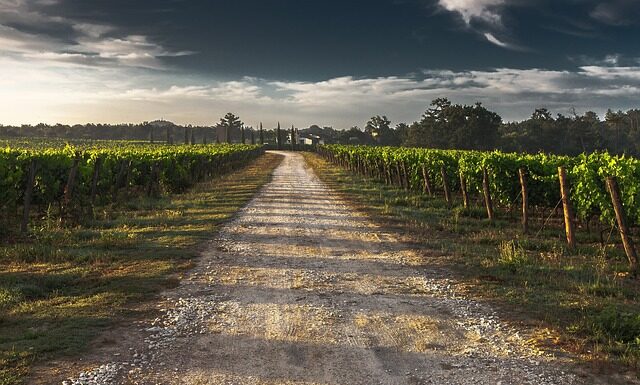 Jak zmierzyć się w pasie u mężczyzn? Jak zmierzyć się w pasie u mężczyzn?