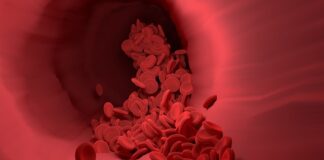 Ile kosztuje DJ na wesele?