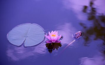 Jak ubrać się elegancko ale nie w garnitur? Jak ubrać się elegancko ale nie w garnitur?