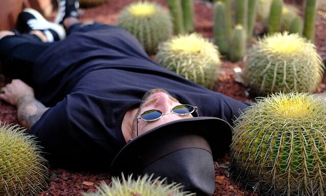 Co to znaczy chino? Co to znaczy chino?