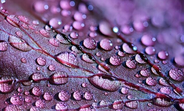 Czy fioletowy kolor jest modny? Czy fioletowy kolor jest modny?