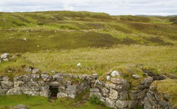 Co to znaczy nie moja brocha?