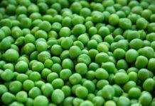 Czy groszki są modne 2023? Czy groszki są modne 2023?