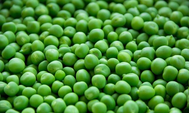 Czy groszki są modne 2023? Czy groszki są modne 2023?