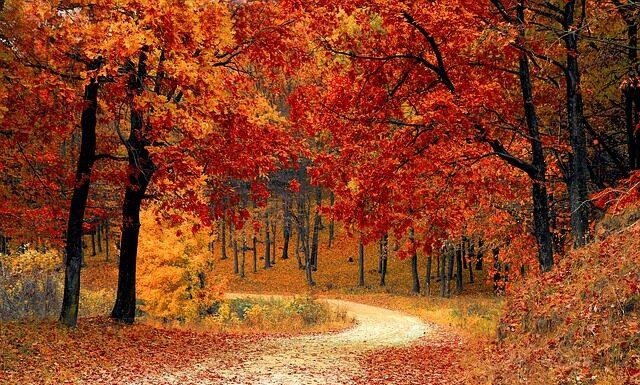 Jak dobrze wyglądać naturalnie? Jak dobrze wyglądać naturalnie?