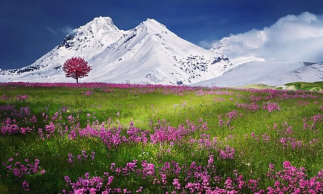 Jaki smak ma fioletowe Merci? Jaki smak ma fioletowe Merci?