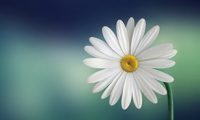 Czy biała bluzka pogrubia? Czy biała bluzka pogrubia?