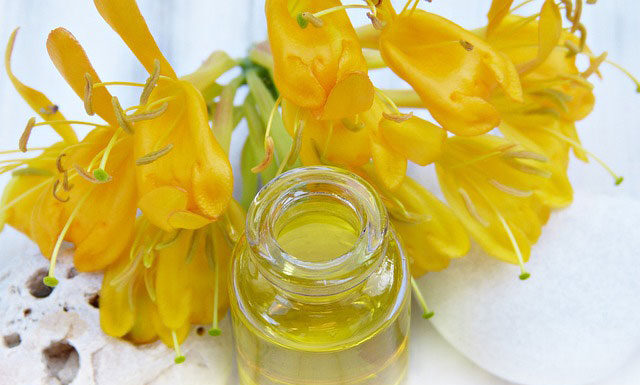 Olej konopny zimnotłoczony — dlaczego nie powinno go zabraknąć w kuchni? Olej konopny zimnotłoczony