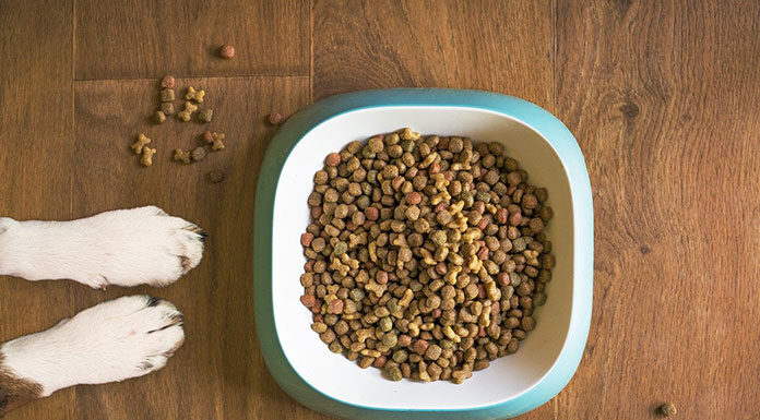 Karma monobiałkowa dla psa